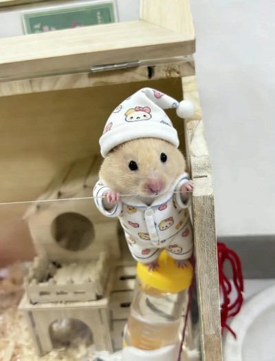 ちょこの写メ
