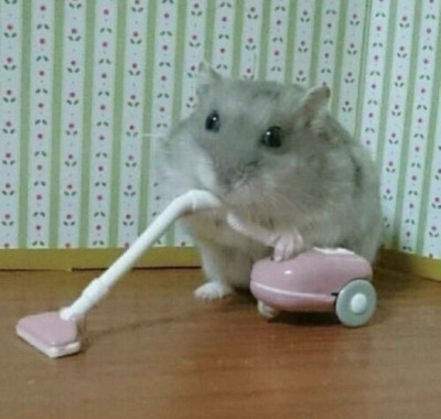 ちょこの写メ