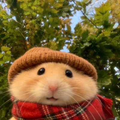 ちょこの写メ
