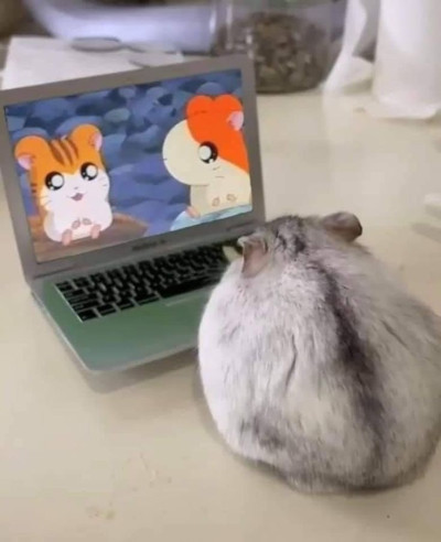 ちょこの写メ