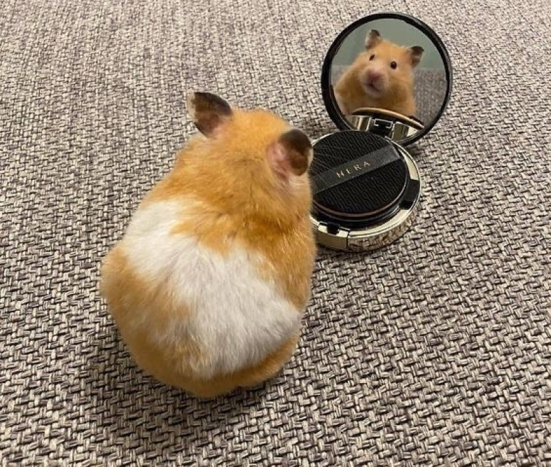 ちょこの写メ